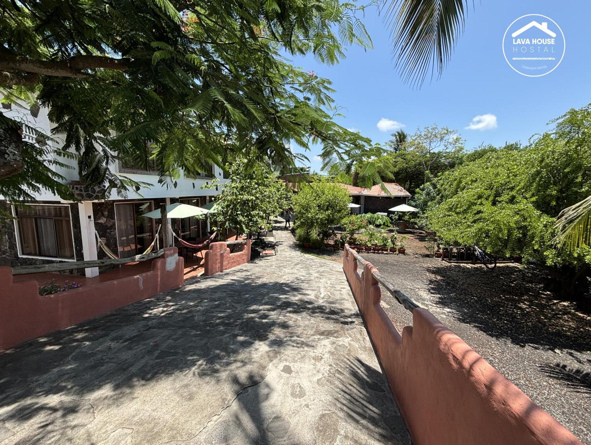 Lava House Hostal Puerto Ayora  Bagian luar foto